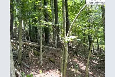 Tbd Apple Canyon Drive, West Jefferson, NC 28694 - Photo 1