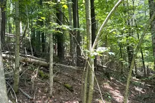 Tbd Apple Canyon Dr, West Jefferson, NC 28694 - Photo 1