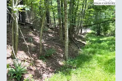 Tbd Apple Canyon Drive, West Jefferson, NC 28694 - Photo 3