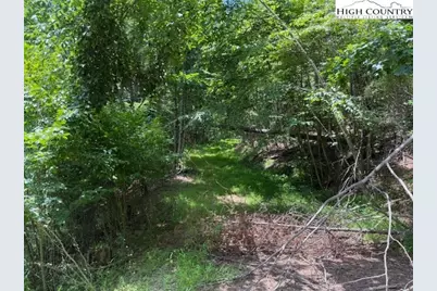 Tbd Apple Canyon Drive, West Jefferson, NC 28694 - Photo 5