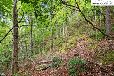 Lot 330 Pepperroot Road, Boone, NC 28607 - Photo 13