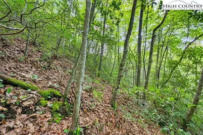 Lot 330 Pepperroot Road, Boone, NC 28607 - Photo 11