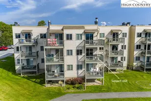 301 Pinnacle Inn Dr, Beech Mountain, NC 28604 - Photo 3