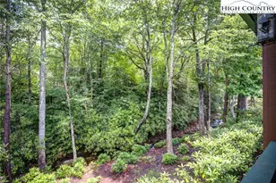 101 Clary Ct, Blowing Rock, NC 28605 - Photo 27