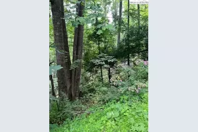 Tbd White Pine Circle, Elk Park, NC 28622 - Photo 7