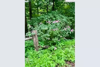 Tbd White Pine Circle, Elk Park, NC 28622 - Photo 9