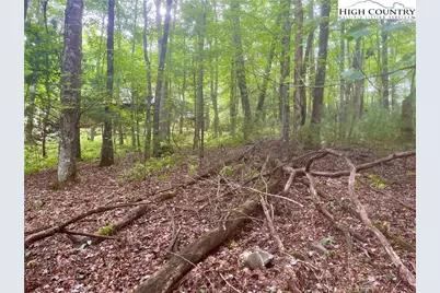 Tbd Laurelwood Drive, West Jefferson, NC 28684 - Photo 7