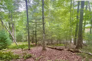 Tbd Laurelwood Dr, West Jefferson, NC 28684 - Photo 1