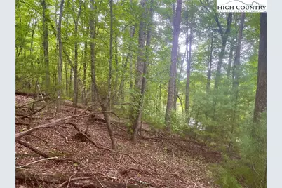 Tbd Laurelwood Drive, West Jefferson, NC 28684 - Photo 9