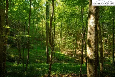 Tbd Winklers Way Road, Lenoir, NC 28645 - Photo 27