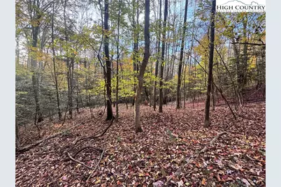 Tbd Winklers Way Road, Lenoir, NC 28645 - Photo 21