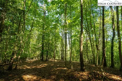 Tbd Winklers Way Road, Lenoir, NC 28645 - Photo 31