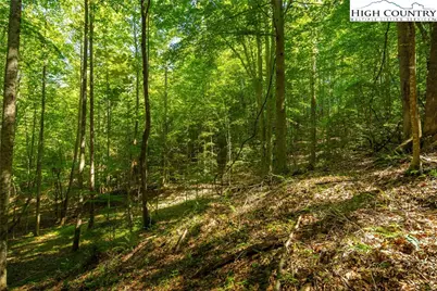 Tbd Winklers Way Road, Lenoir, NC 28645 - Photo 35