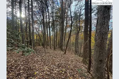 Tbd Winklers Way Road, Lenoir, NC 28645 - Photo 11