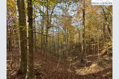 Tbd Winklers Way Road, Lenoir, NC 28645 - Photo 5