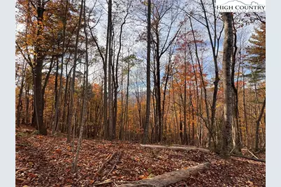 Tbd Winklers Way Road, Lenoir, NC 28645 - Photo 13