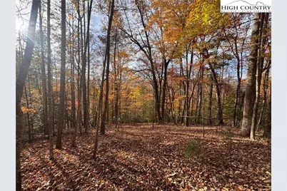 Tbd Winklers Way Road, Lenoir, NC 28645 - Photo 9