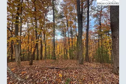 Tbd Winklers Way Road, Lenoir, NC 28645 - Photo 7