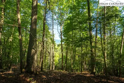 Tbd Winklers Way Road, Lenoir, NC 28645 - Photo 25
