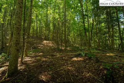 Tbd Winklers Way Road, Lenoir, NC 28645 - Photo 39