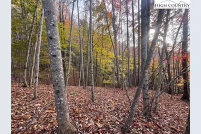 Tbd Winklers Way Road, Lenoir, NC 28645 - Photo 19