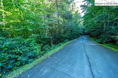 Lot 31 Tara Drive, Banner Elk, NC 28604 - Photo 5