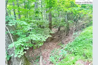 Lot 17 Savannah Drive, West Jefferson, NC 28694 - Photo 7