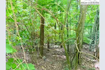 Lot 17 Savannah Drive, West Jefferson, NC 28694 - Photo 3