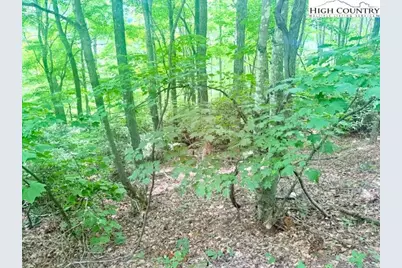 Lot 17 Savannah Drive, West Jefferson, NC 28694 - Photo 5