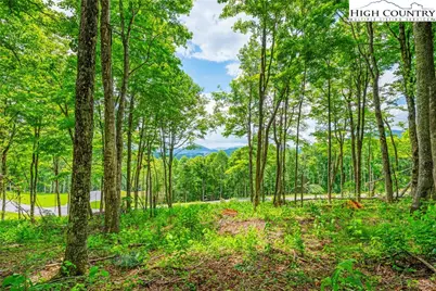 Lot 24 Poplar Forest Drive, Boone, NC 28607 - Photo 5