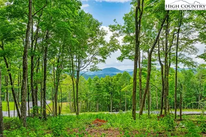Lot 24 Poplar Forest Drive, Boone, NC 28607 - Photo 1