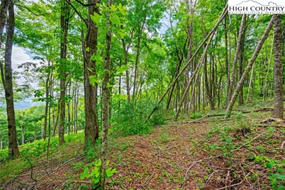 Lot 24 Poplar Forest Drive, Boone, NC 28607 - Photo 9
