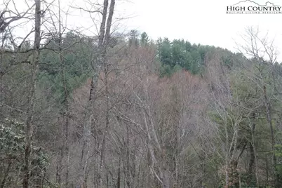 Lot 29 & 30 N Hidden Mountain Lane, Crumpler, NC 28617 - Photo 3