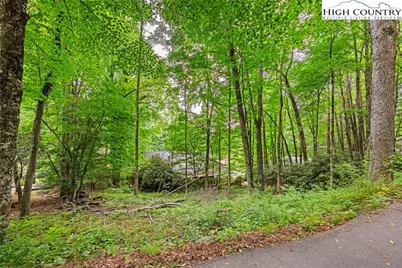 140 Pine View Road, Newland, NC 28657 - Photo 3