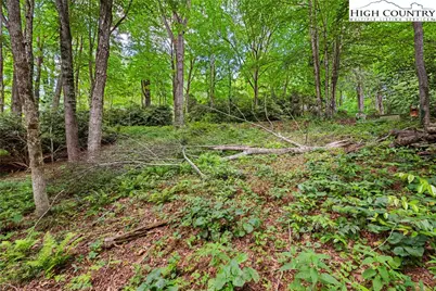 140 Pine View Road, Newland, NC 28657 - Photo 5