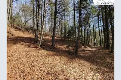 Tbd (Lot 73) Creekside Meadows Drive, Fleetwood, NC 28626 - Photo 3
