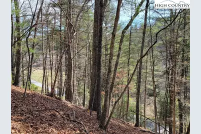 Tbd (Lot 72) Creekside Meadows Drive, Fleetwood, NC 28626 - Photo 3