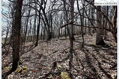 Tbd Junaluska Road, Boone, NC 28607 - Photo 17