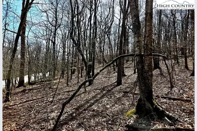 Tbd Junaluska Road, Boone, NC 28607 - Photo 19