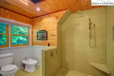 568 Auborn Trivette Road, Sugar Grove, NC 28679 - Photo 21