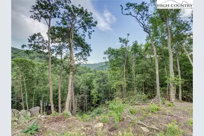 C124 Springwater Lane, Banner Elk, NC 28604 - Photo 15