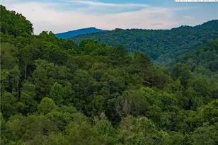 C124 Springwater Ln, Banner Elk, NC 28604 - Photo 1