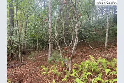 Lot 3 Cedar Cove Lane, Fleetwood, NC 28262 - Photo 7