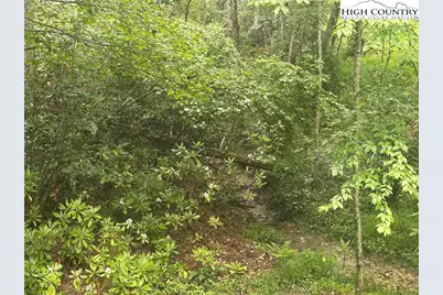 Lot 3 Cedar Cove Lane, Fleetwood, NC 28262 - Photo 3