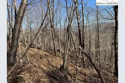 Lot 32 Jewel Weed Trail, Newland, NC 28657 - Photo 5