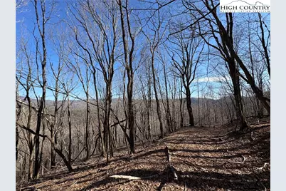 Lot 32 Jewel Weed Trail, Newland, NC 28657 - Photo 3