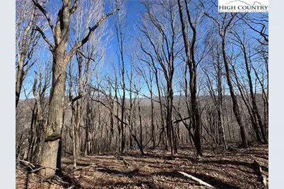 Lot 32 Jewel Weed Trail, Newland, NC 28657 - Photo 11