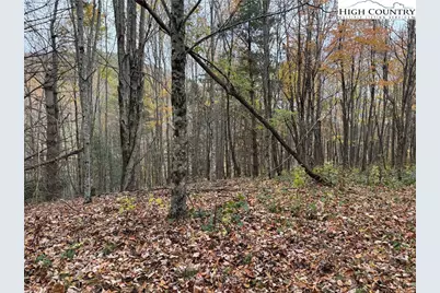 Tbd Rominger Road, Banner Elk, NC 28604 - Photo 11