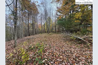 Tbd Rominger Road, Banner Elk, NC 28604 - Photo 15