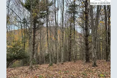 Tbd Rominger Road, Banner Elk, NC 28604 - Photo 1